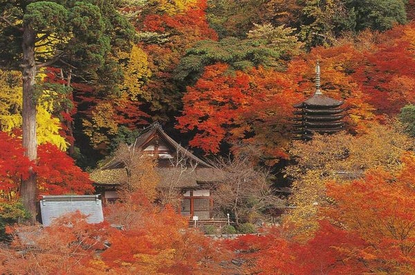 【大分県内/小倉駅発】 いにしえの奈良・紅葉ロード2日間 ~法隆寺・奈良公園・談山神社・長谷寺・室生寺~1
